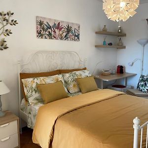 Casa Mimosa Holiday Room